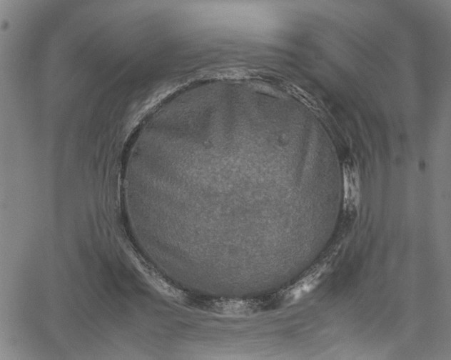 X0000062170301200512161258