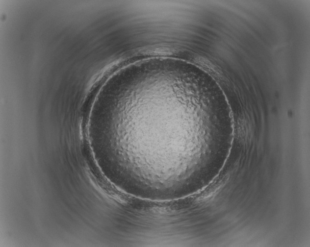 X0000062170302200512161258