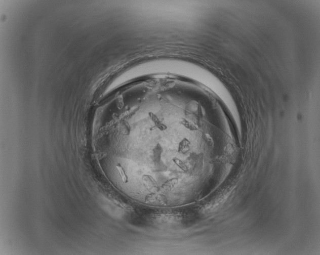 X0000062170303200512161258