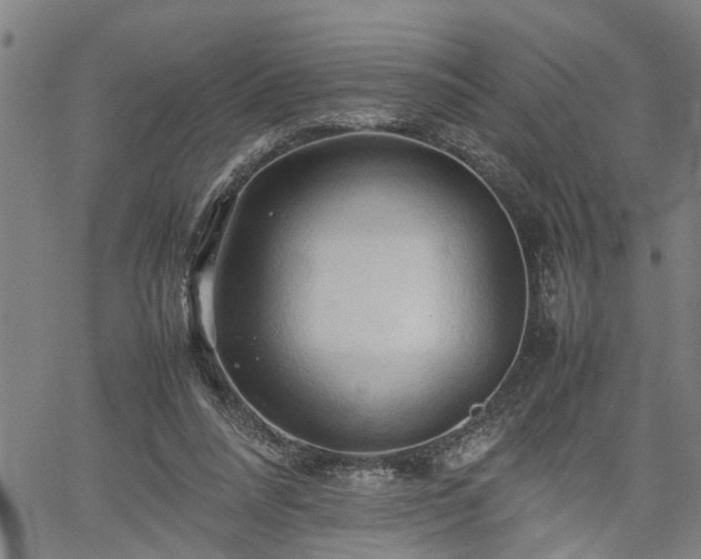 X0000062170304200512161258