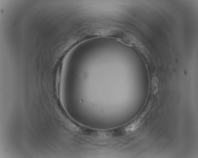 X0000062170305200512161258