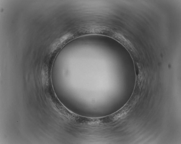 X0000062170306200512161258