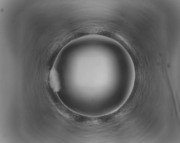 X0000062170307200512161258