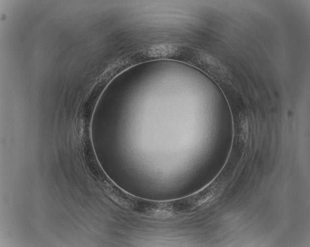 X0000062170308200512161258