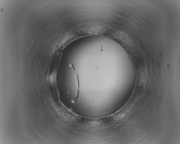 X0000062170310200512161258