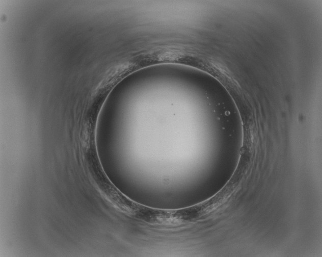 X0000062170311200512161258