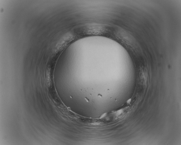 X0000062170312200512161258