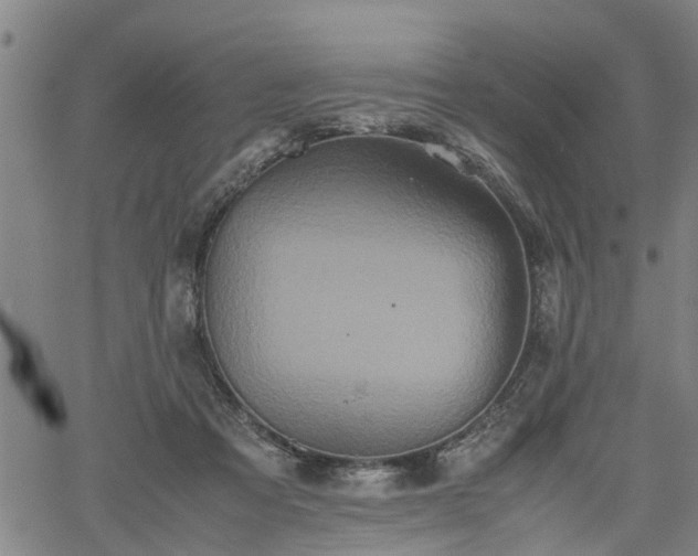 X0000062170313200512161258