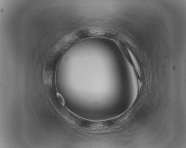 X0000062170315200512161258