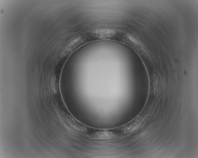 X0000062170316200512161258