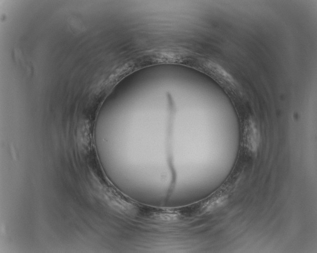 X0000062170318200512161257