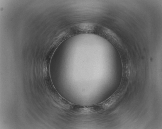 X0000062170320200512161257