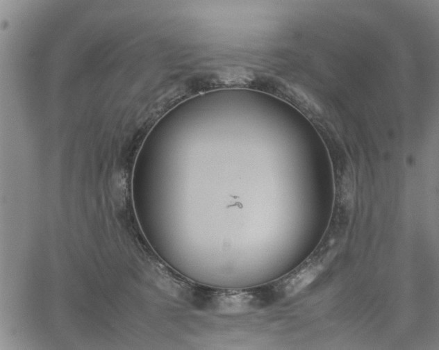 X0000062170321200512161257