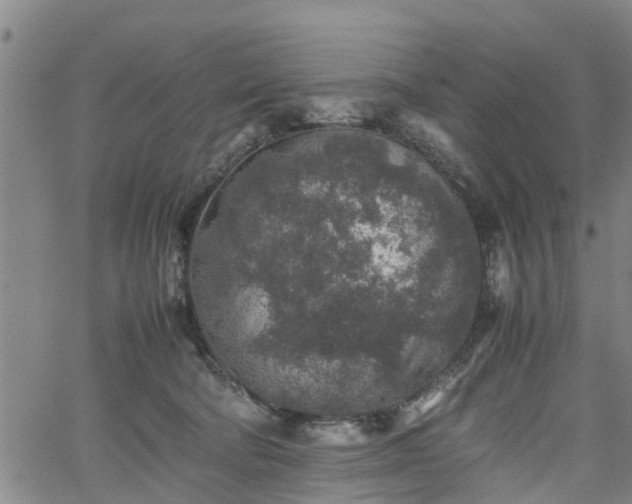 X0000062170322200512161257