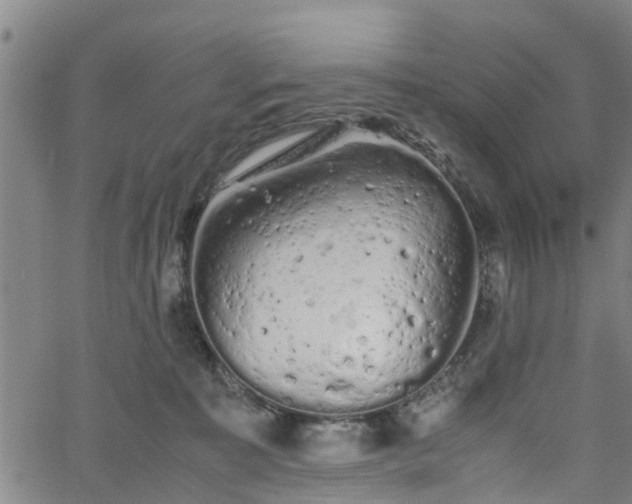 X0000062170323200512161257