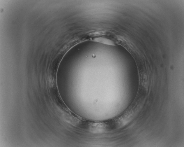 X0000062170324200512161257