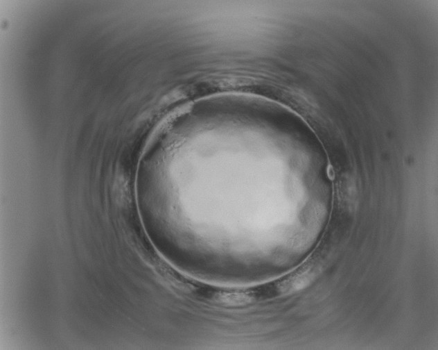 X0000062170327200512161257