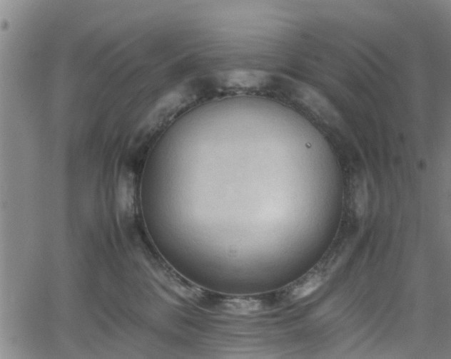 X0000062170328200512161257