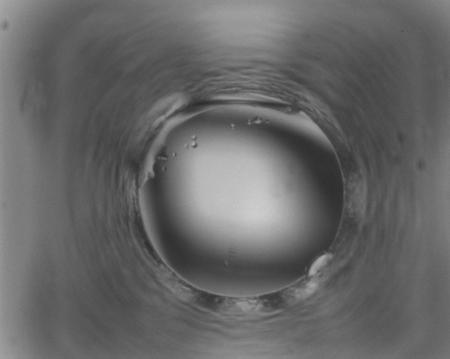 X0000062170329200512161257