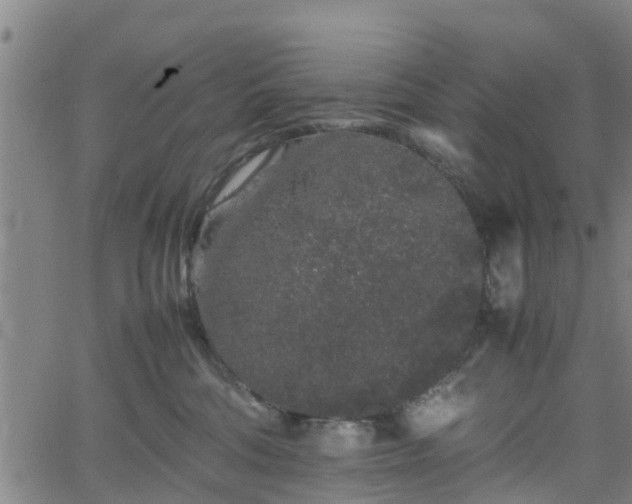 X0000062170330200512161257