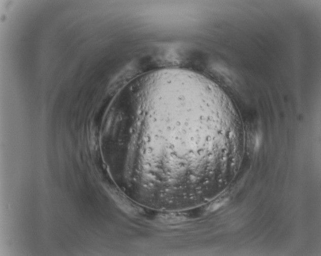 X0000062170331200512161257