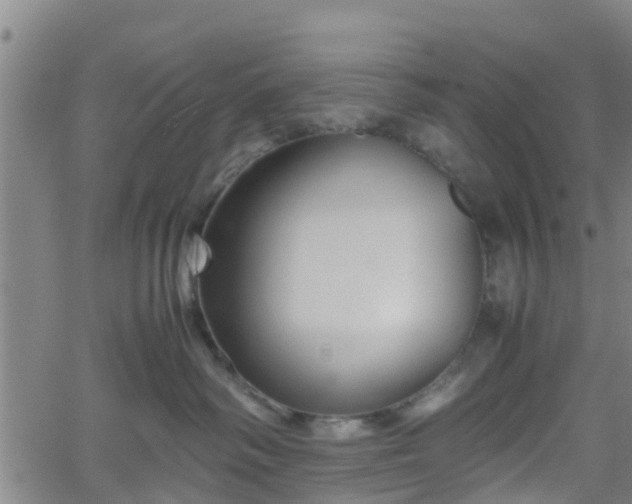 X0000062170334200512161257