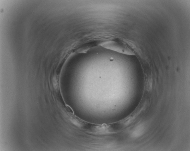 X0000062170335200512161257