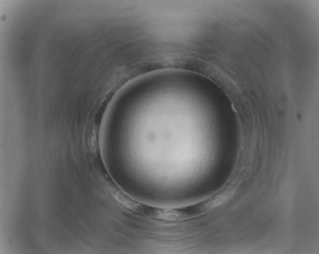 X0000062170336200512161257