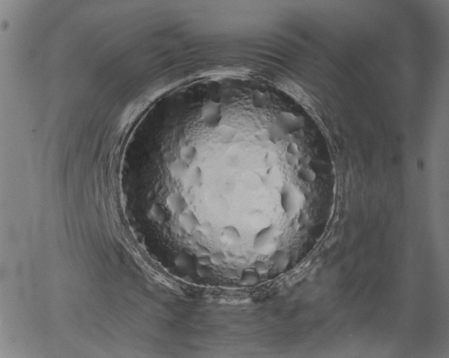 X0000062170337200512161256