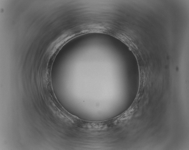 X0000062170338200512161256