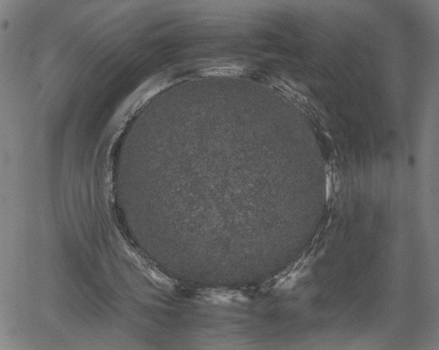 X0000062170339200512161256