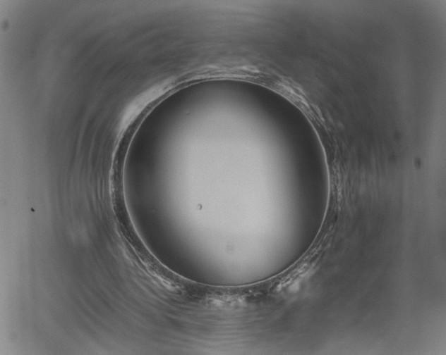 X0000062170340200512161256