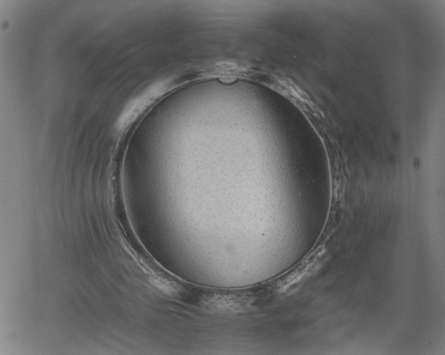 X0000062170341200512161256