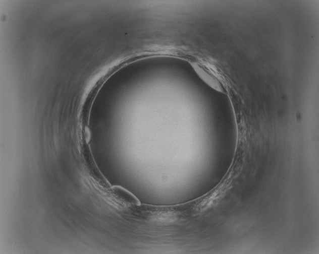 X0000062170342200512161256