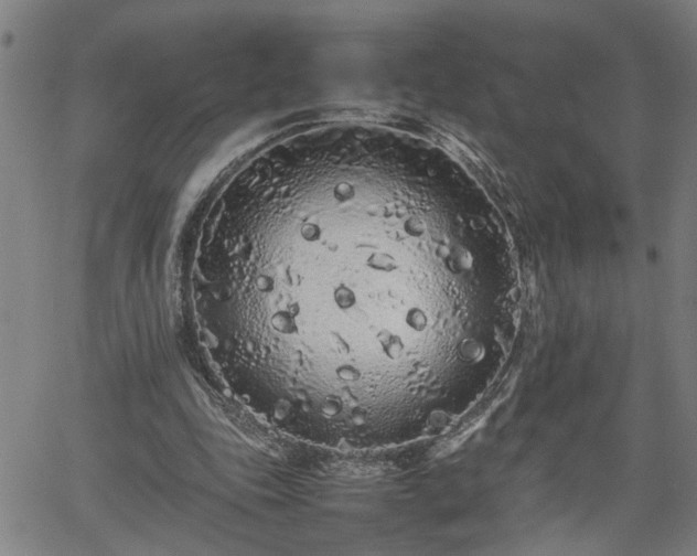 X0000062170343200512161256