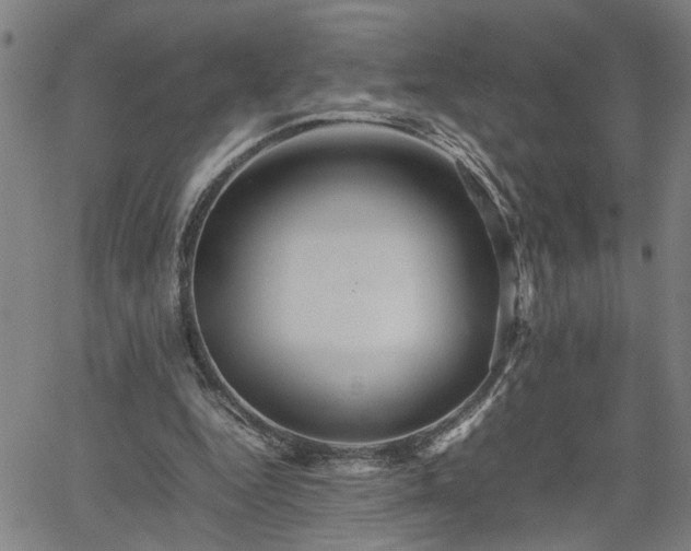 X0000062170344200512161257