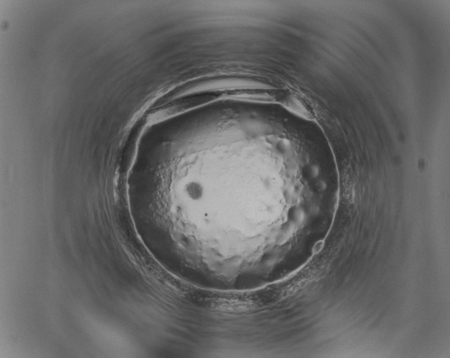 X0000062170347200512161257