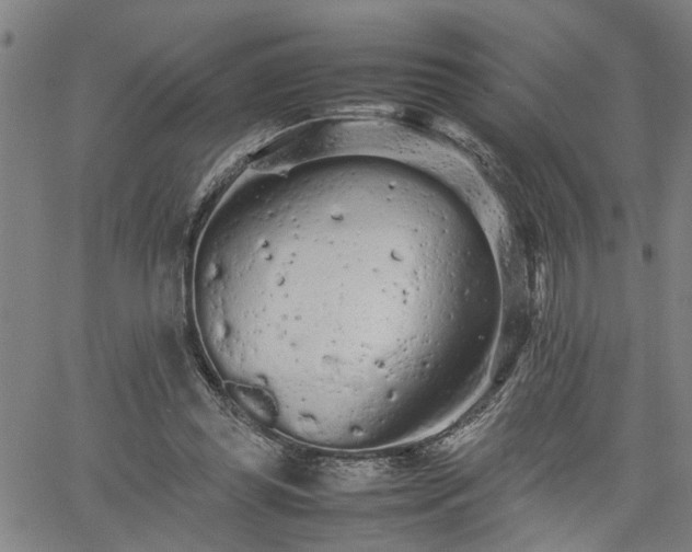 X0000062170349200512161257