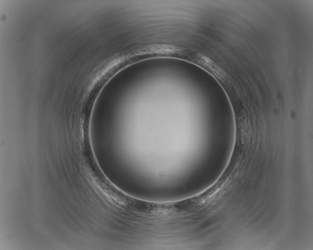 X0000062170350200512161257