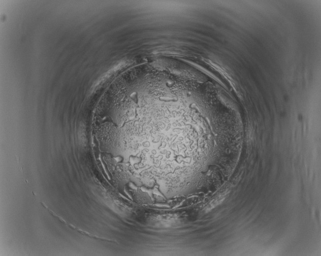 X0000062170353200512161257