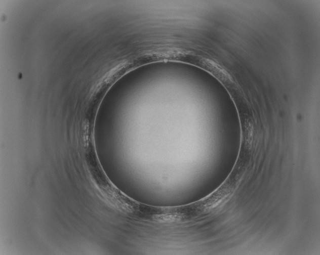 X0000062170356200512161257