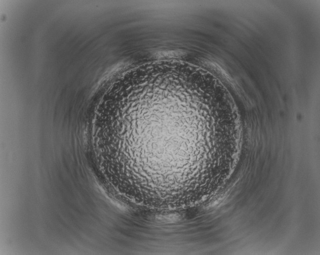 X0000062170357200512161257