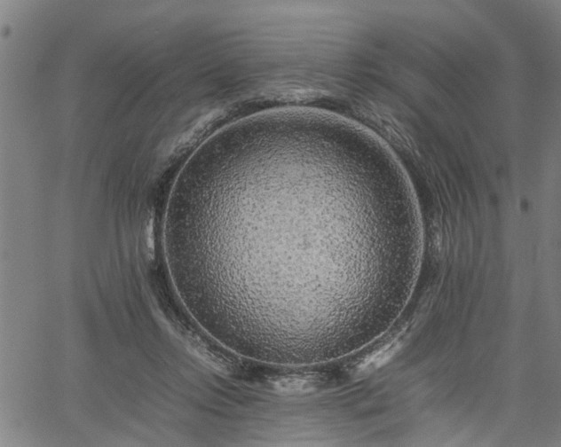 X0000062170358200512161257