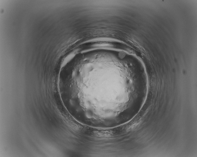 X0000062170359200512161257