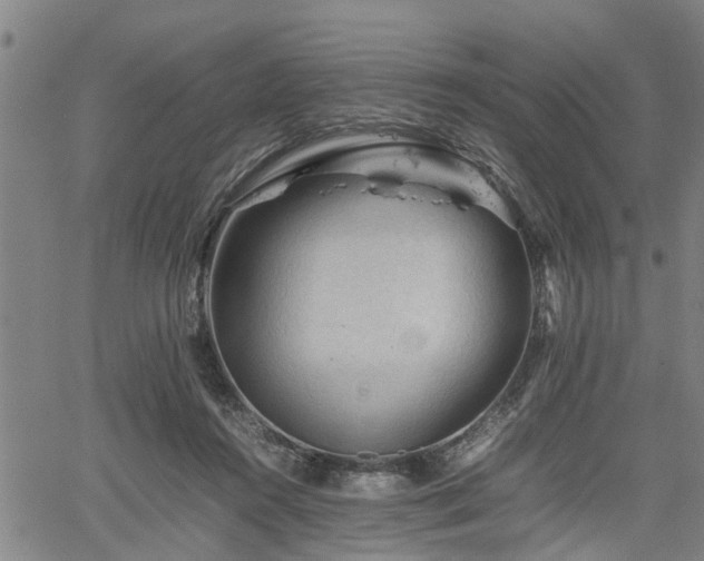 X0000062170360200512161257