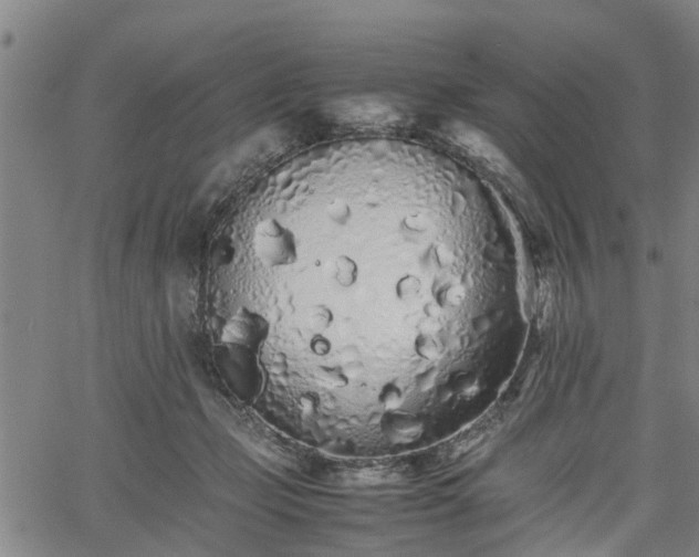 X0000062170365200512161257