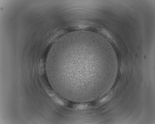 X0000062170366200512161257