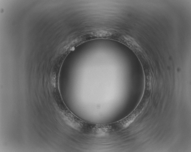 X0000062170368200512161257