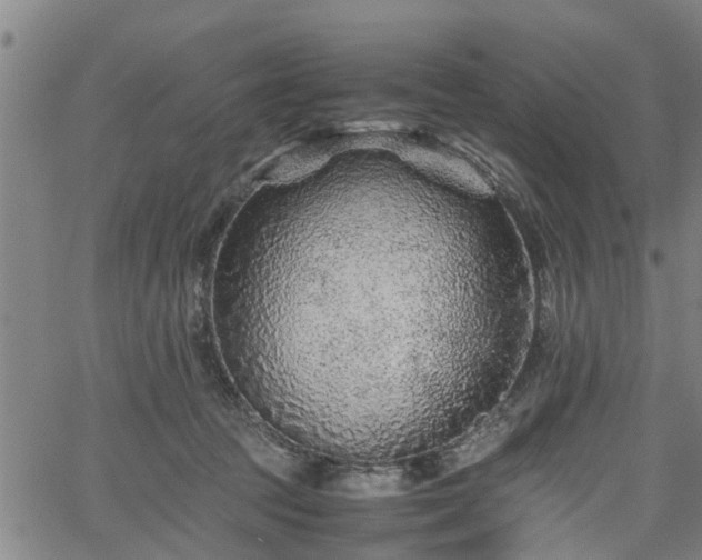 X0000062170369200512161257