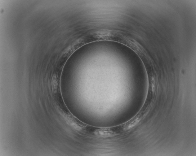 X0000062170372200512161257